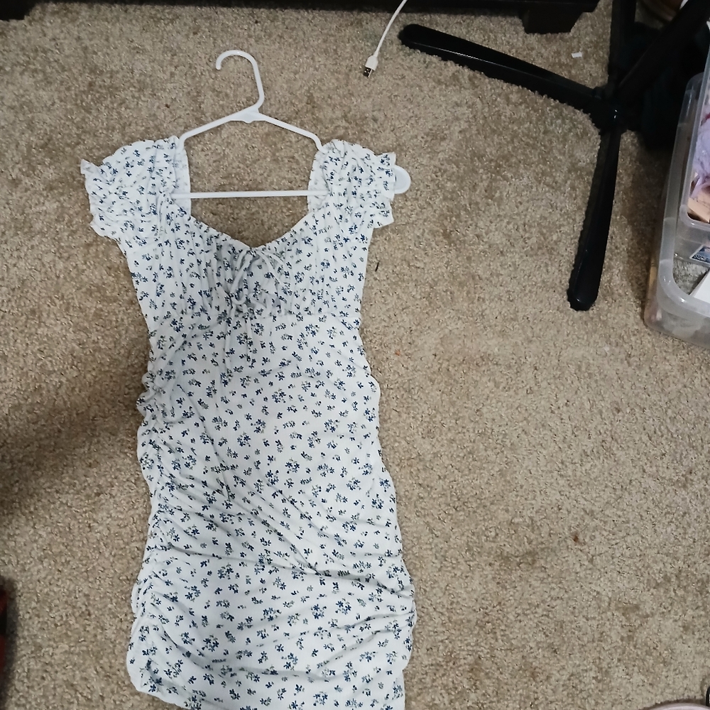 Windsor White and Blue Floral Mini Dress